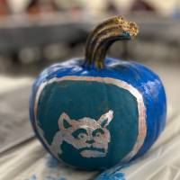 pumpkin blue